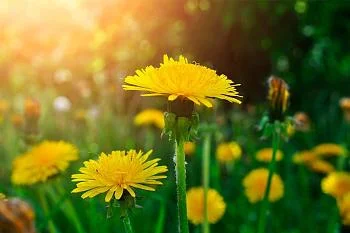 Как провести майские праздники без вреда для здоровья