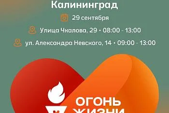 Всероссийская эстафета факела «Огонь жизни» пройдет в Калининграде Всероссийская эстафета факела «Огонь жизни» пройдет в Калининграде