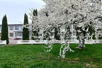 В доме социального ухода «Яблоневый сад» прошла выездная диспансеризация В доме социального ухода «Яблоневый сад» прошла выездная диспансеризация